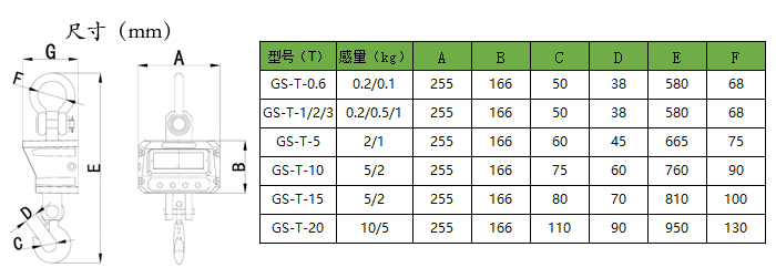 GS-T3ӹ